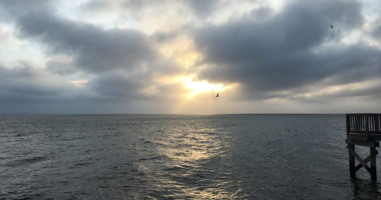 Angels Wings Over the Bay