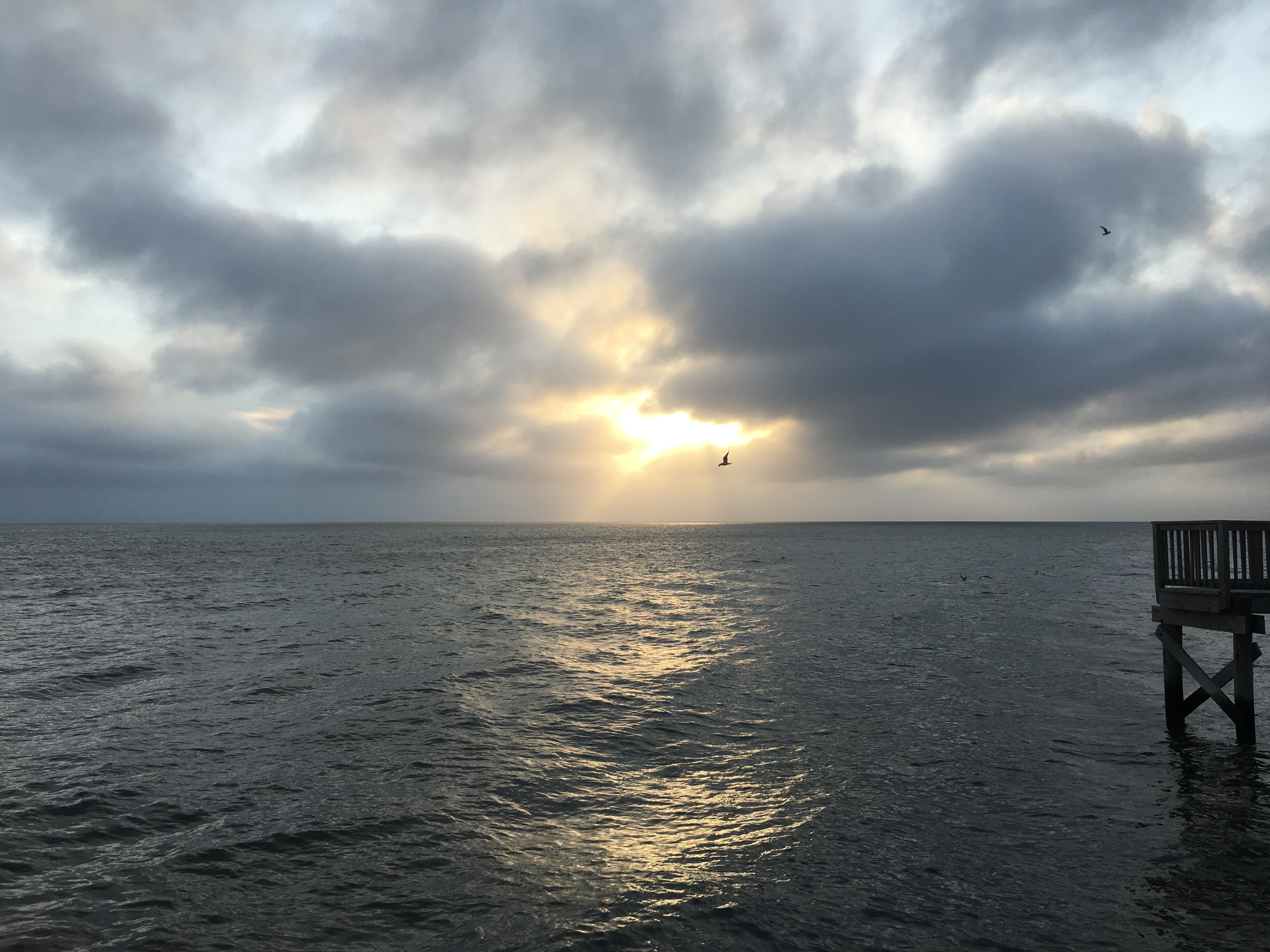 Angels Wings Over the Bay